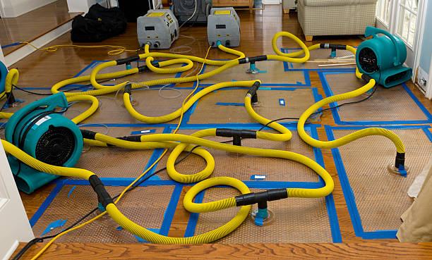 Professional Structural Drying And Dehumidification technician working in Forestville, WI