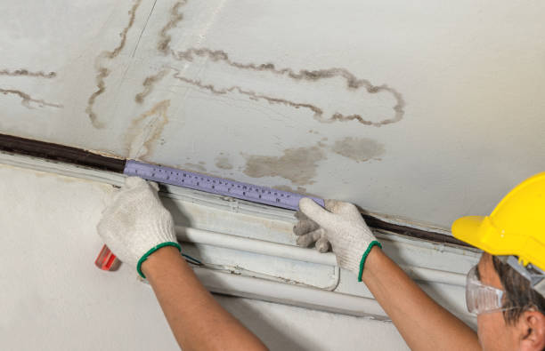 Affordable Water Damage Repair solutions in Forestville, WI